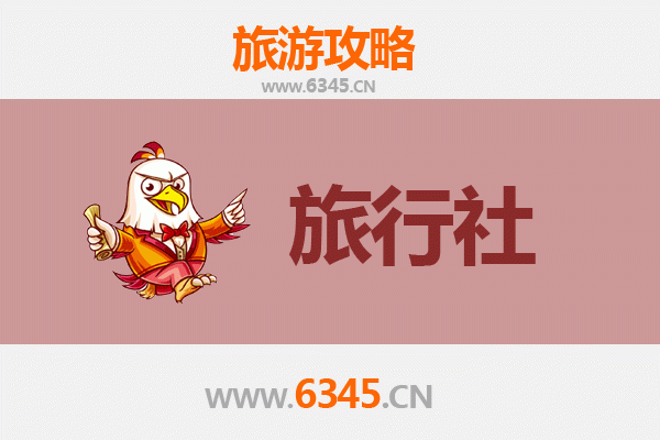 伊犁特克斯本地旅行社推荐与旅行攻略