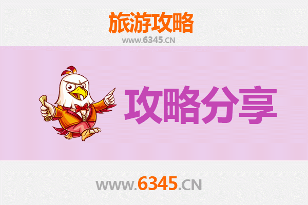 伊犁特克斯旅游攻略：跟团与自由行全方位对比
